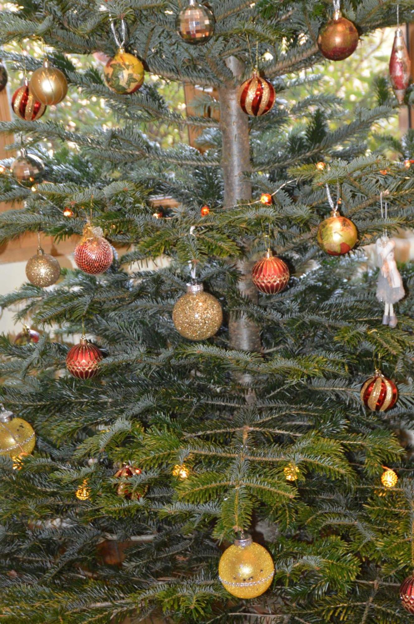 De Charme En Sologne, Sejour En Famille, Jeux, Nature & Detente Holiday home *