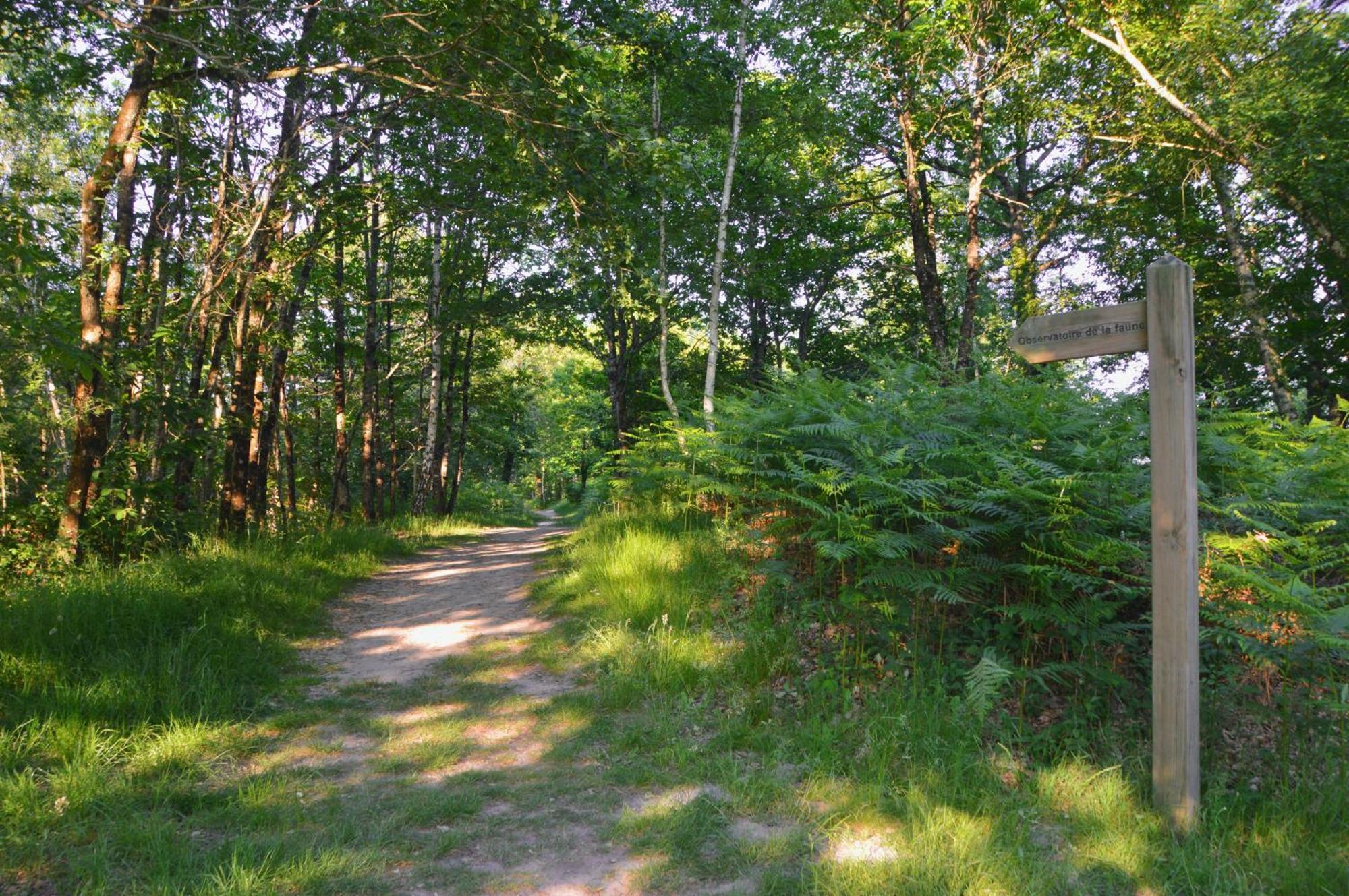De Charme En Sologne, Sejour En Famille, Jeux, Nature & Detente * Aubigny-sur-Nere